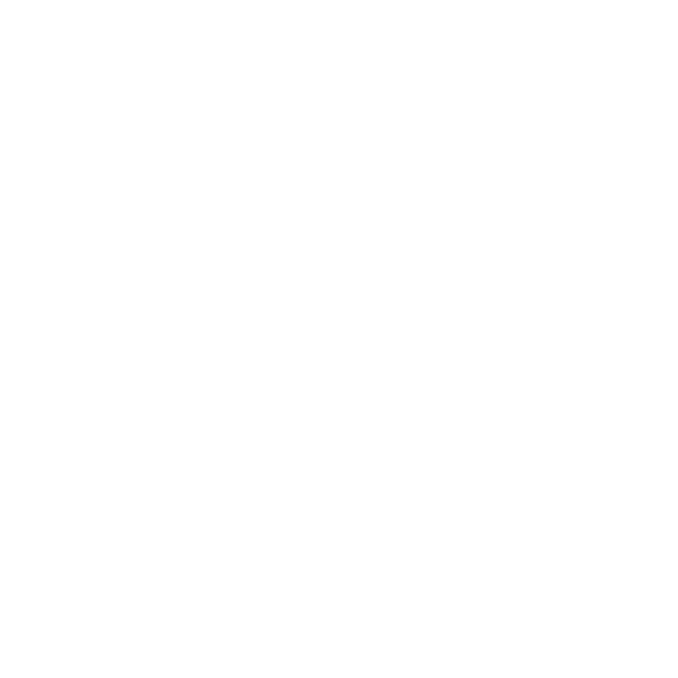 Euronet Elettronica
